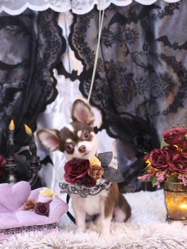 20231001むうくん